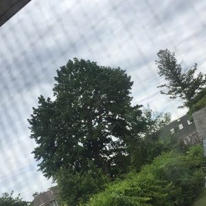 Meet your Posher, Athena